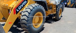 Payloder-Lovol-FL936H-1011 119